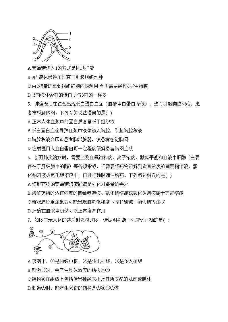 即墨区实验高级中学2024-2025学年高二上学期第一次月考生物试卷(含答案)第2页