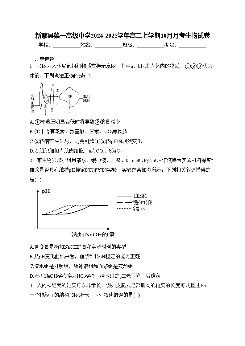 新蔡县第一高级中学2024-2025学年高二上学期10月月考生物试卷(含答案)第1页