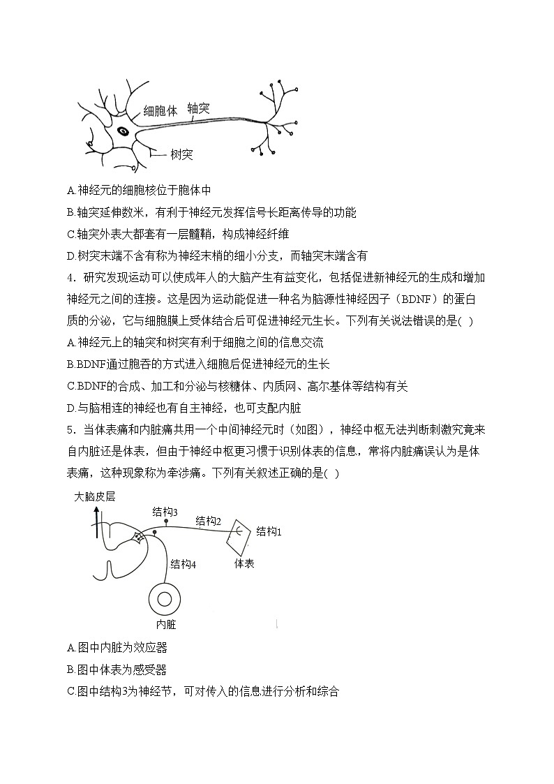 新蔡县第一高级中学2024-2025学年高二上学期10月月考生物试卷(含答案)第2页