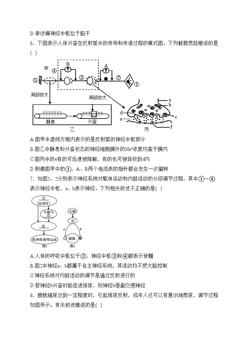 新蔡县第一高级中学2024-2025学年高二上学期10月月考生物试卷(含答案)第3页