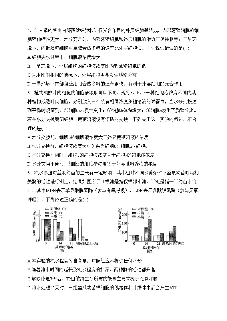 新疆维吾尔自治区石河子第一中学2025届高三上学期9月月考生物试卷(含答案)第2页