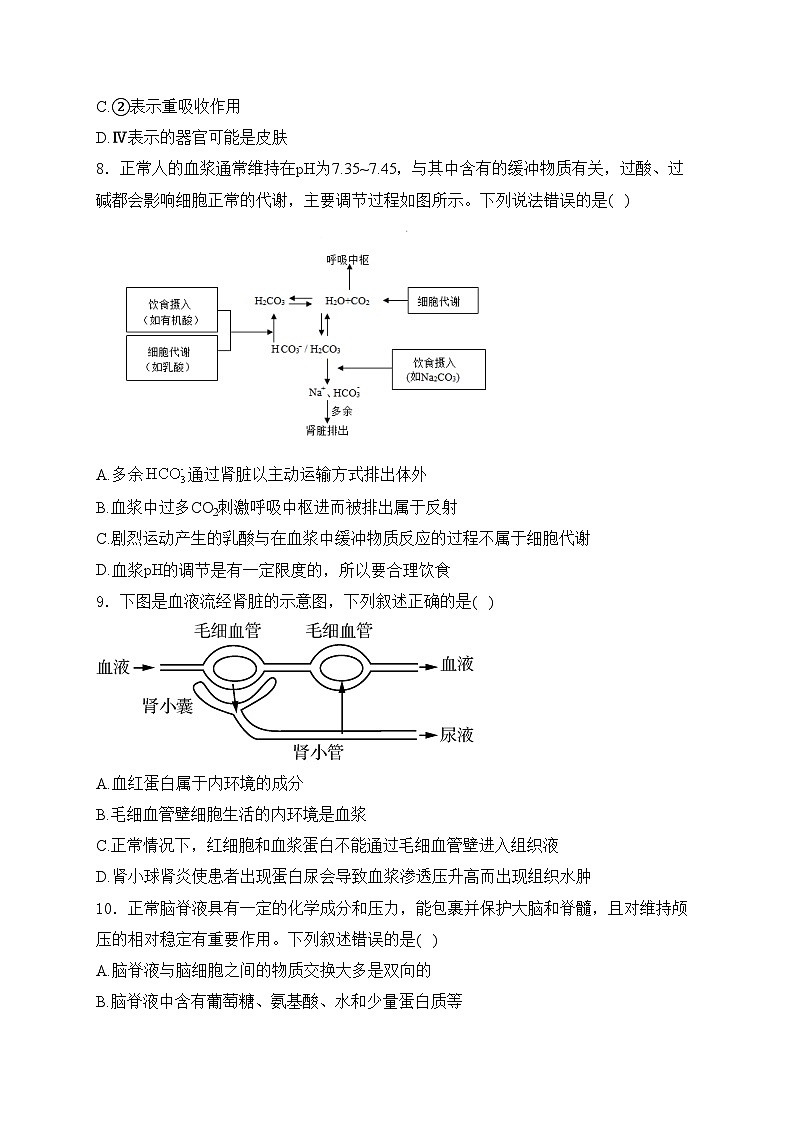 云南省玉溪第一中学2024-2025学年高二上学期9月月考生物试卷(含答案)第3页