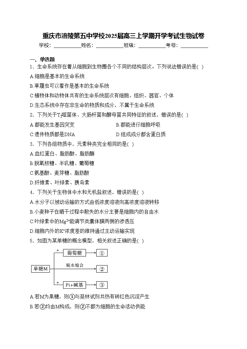 重庆市涪陵第五中学校2025届高三上学期开学考试生物试卷(含答案)第1页