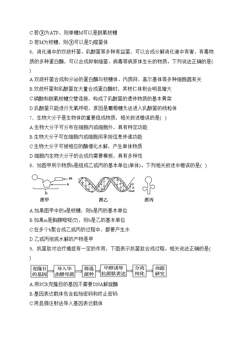 重庆市涪陵第五中学校2025届高三上学期开学考试生物试卷(含答案)第2页