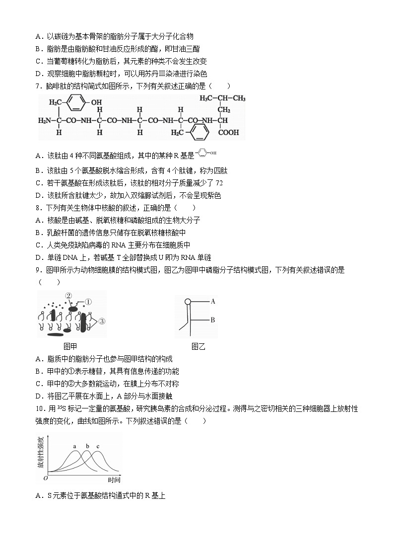 安徽省合肥一六八中学2023-2024学年高一上学期期中考试生物试题第2页