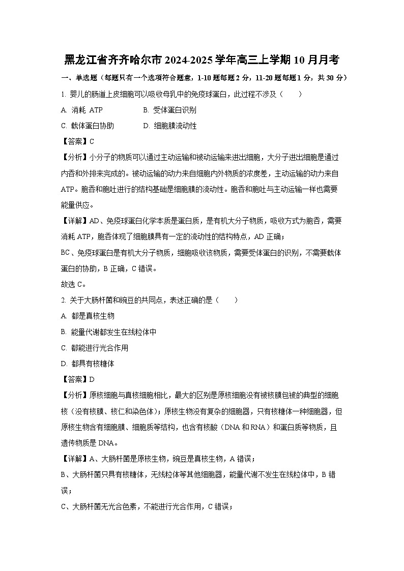 黑龙江省齐齐哈尔市2024-2025学年高三上学期10月月考生物试卷(解析版)第1页