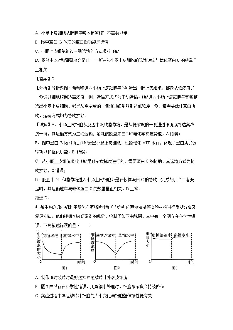 辽宁省部分学校2024-2025学年高三上学期10月阶段考试生物试卷(解析版)03