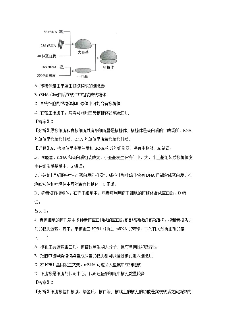 江西省多校联考2024-2025学年高三上学期9月月考生物试卷(解析版)03
