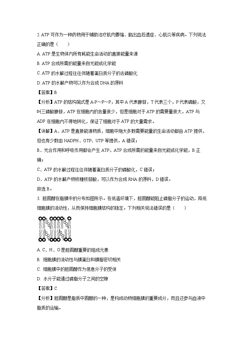 内蒙部分学校2024-2025学年高三上学期9月大联考生物试卷(解析版)第2页