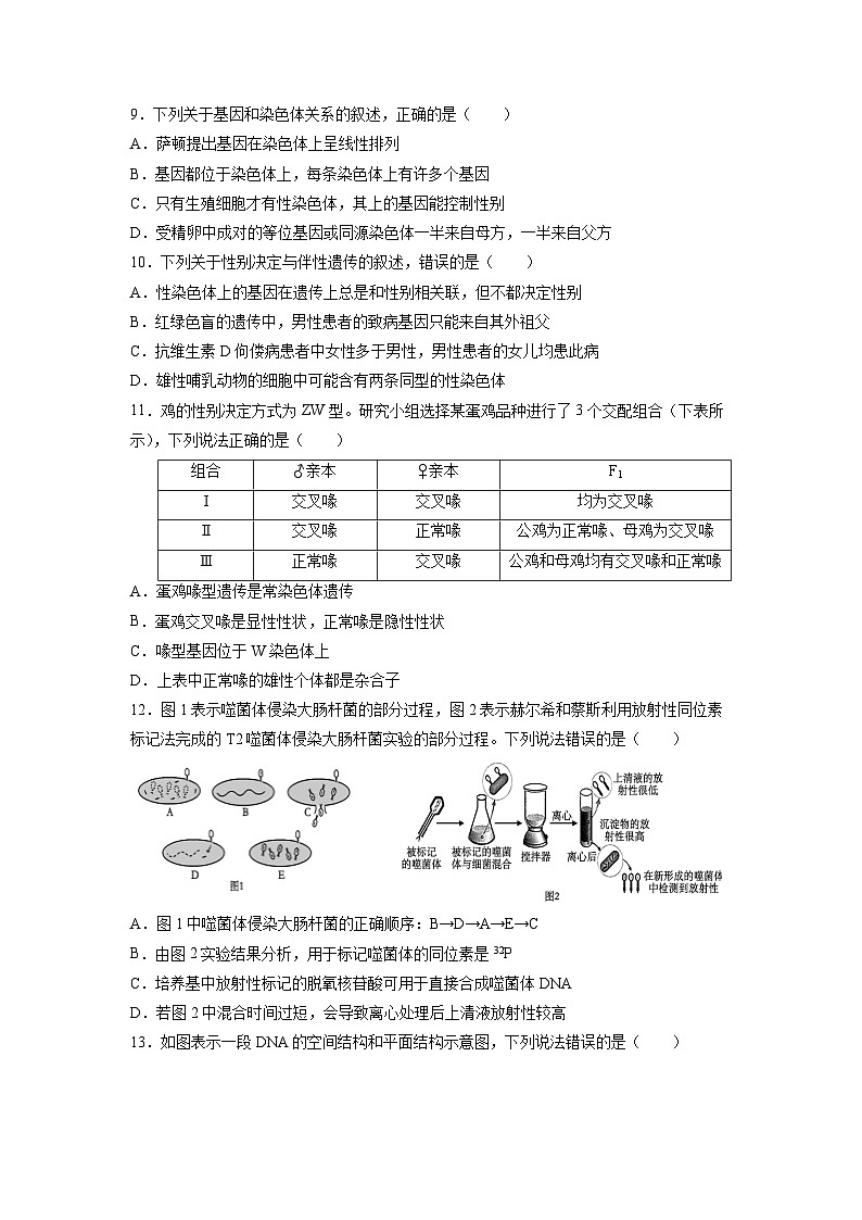 山东省青岛市2023-2024学年高一下学期期中考试生物试卷第3页