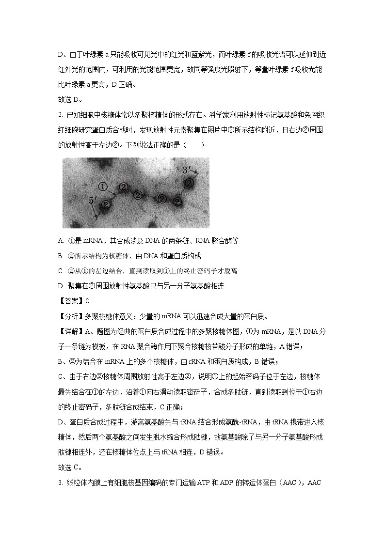 2024年普通高中学业水平选择性考试押题卷(五)(重庆专版)生物试卷(解析版)第2页