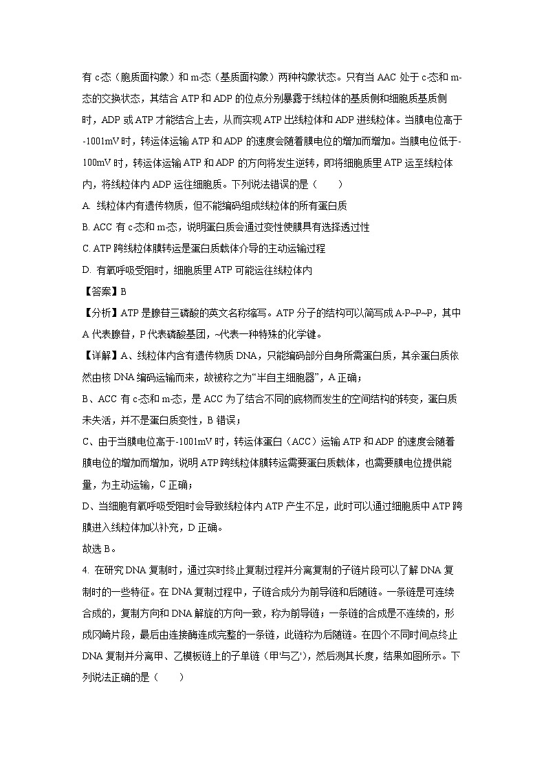 2024年普通高中学业水平选择性考试押题卷(五)(重庆专版)生物试卷(解析版)第3页