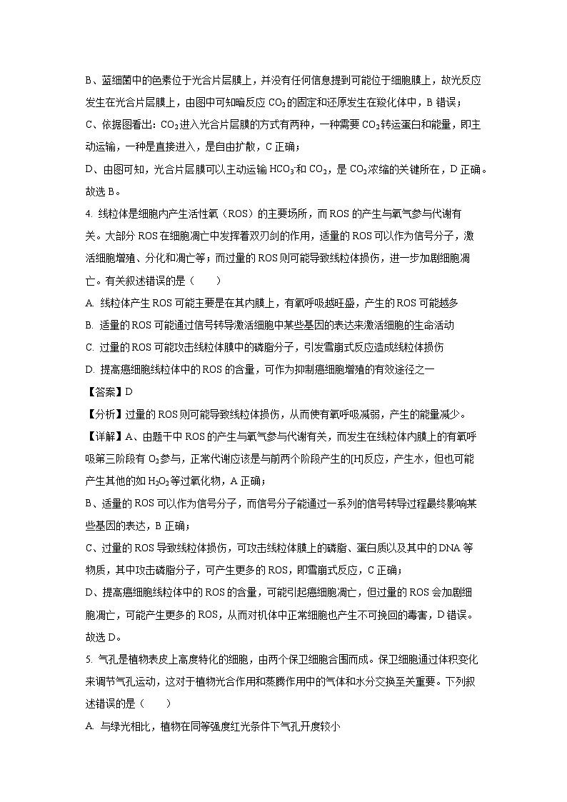 2024届甘肃省张掖市某校高三下学期5月适应性考试生物试卷(解析版)第3页