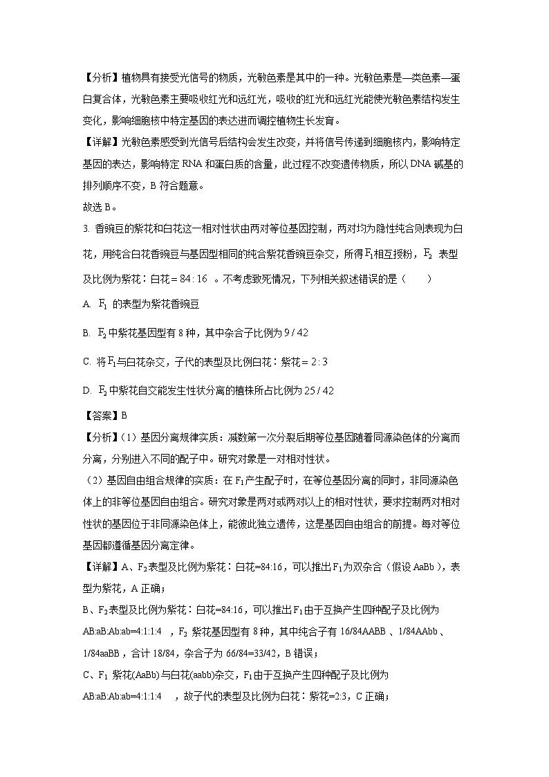 2024届衡水金卷先享卷信息卷高三下学期模拟(五)生物试卷(解析版)02