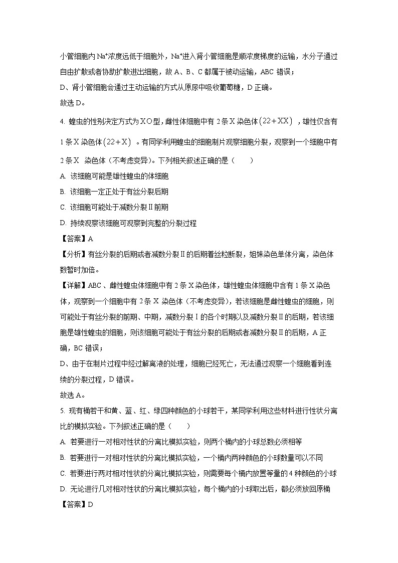 2024届衡水金卷先享卷信息卷高三下学期模拟(三)生物试卷(解析版)第3页
