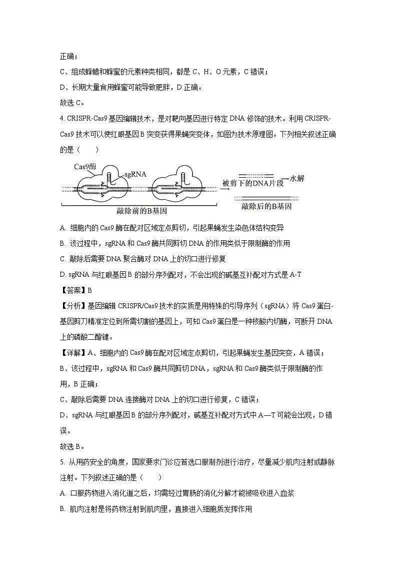 2024届湖北省部分学校高三下学期模拟考试生物试卷(解析版)第3页