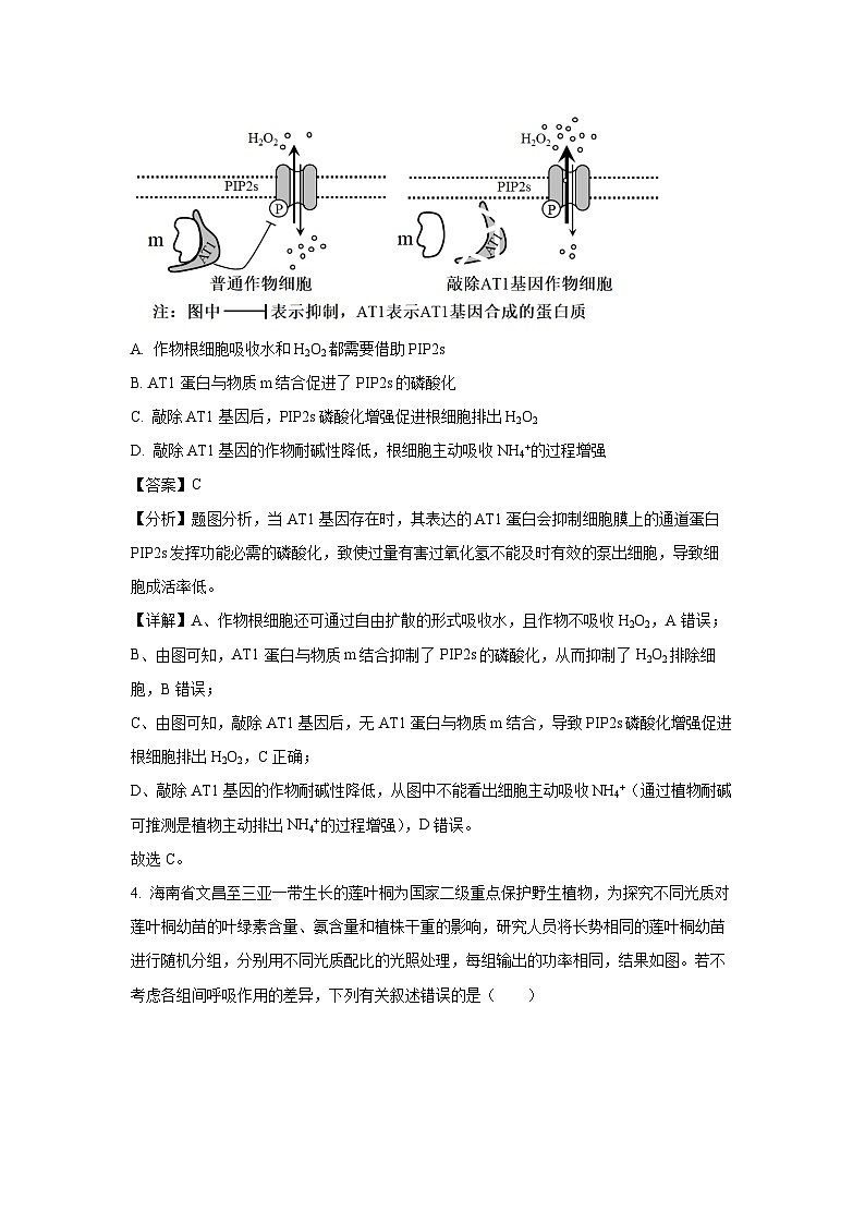 2024届海南省天一大联考高三生物试卷(解析版)第3页