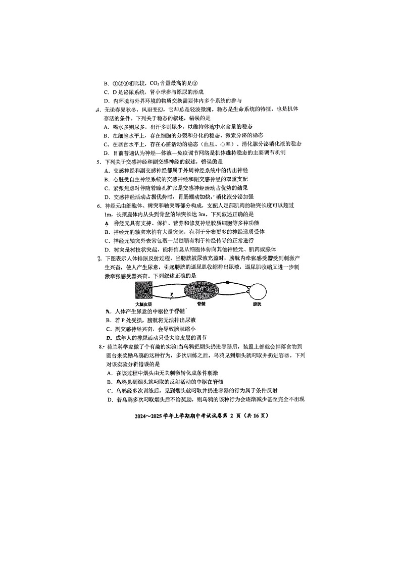 吉林省长春市东北师范大学附属中学2024-2025学年高二上学期10月期中考试生物试题02