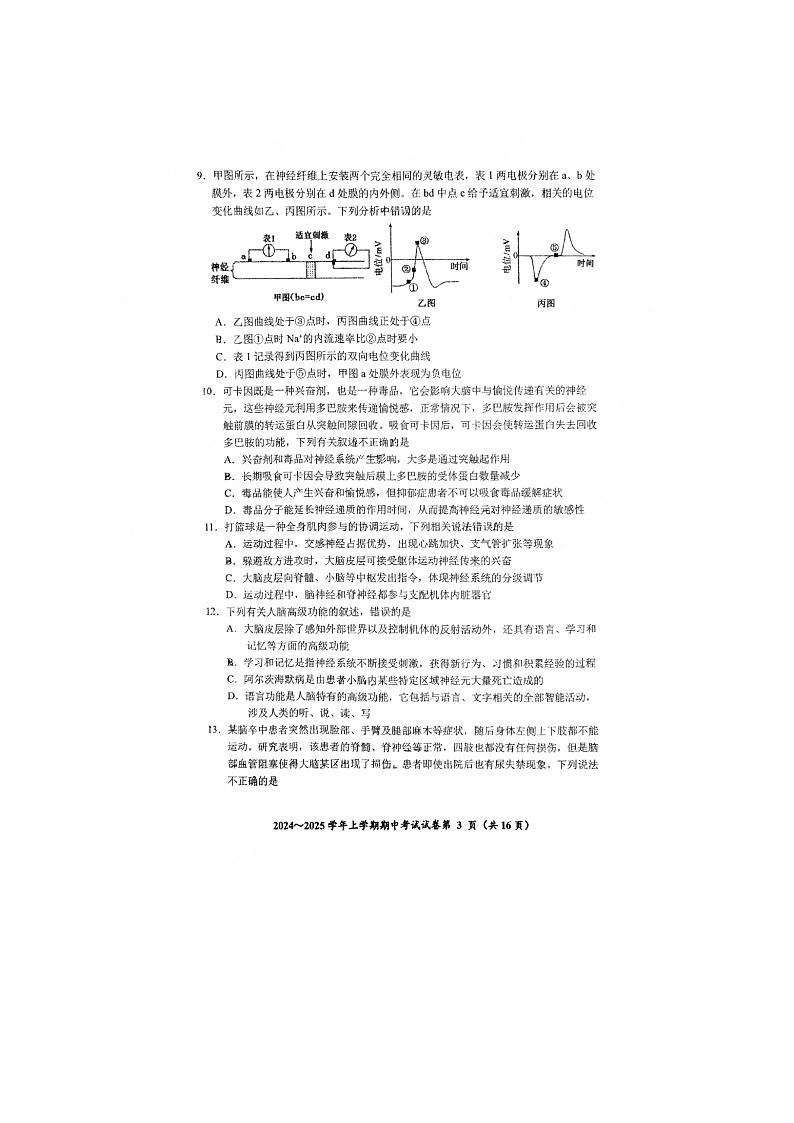 吉林省长春市东北师范大学附属中学2024-2025学年高二上学期10月期中考试生物试题03