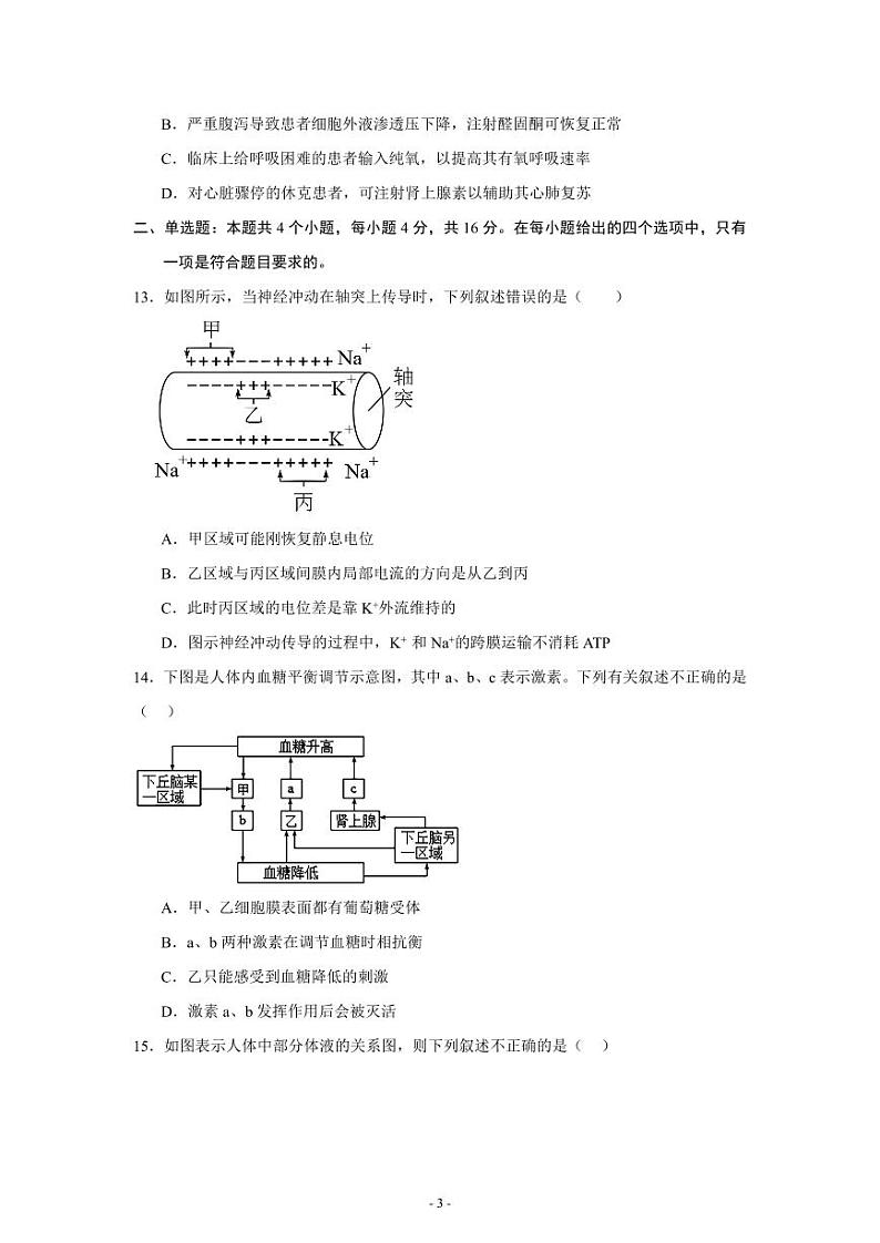 广东省汕头市潮阳区河溪中学2024-2025学年高二上学期10月月考生物试题第3页