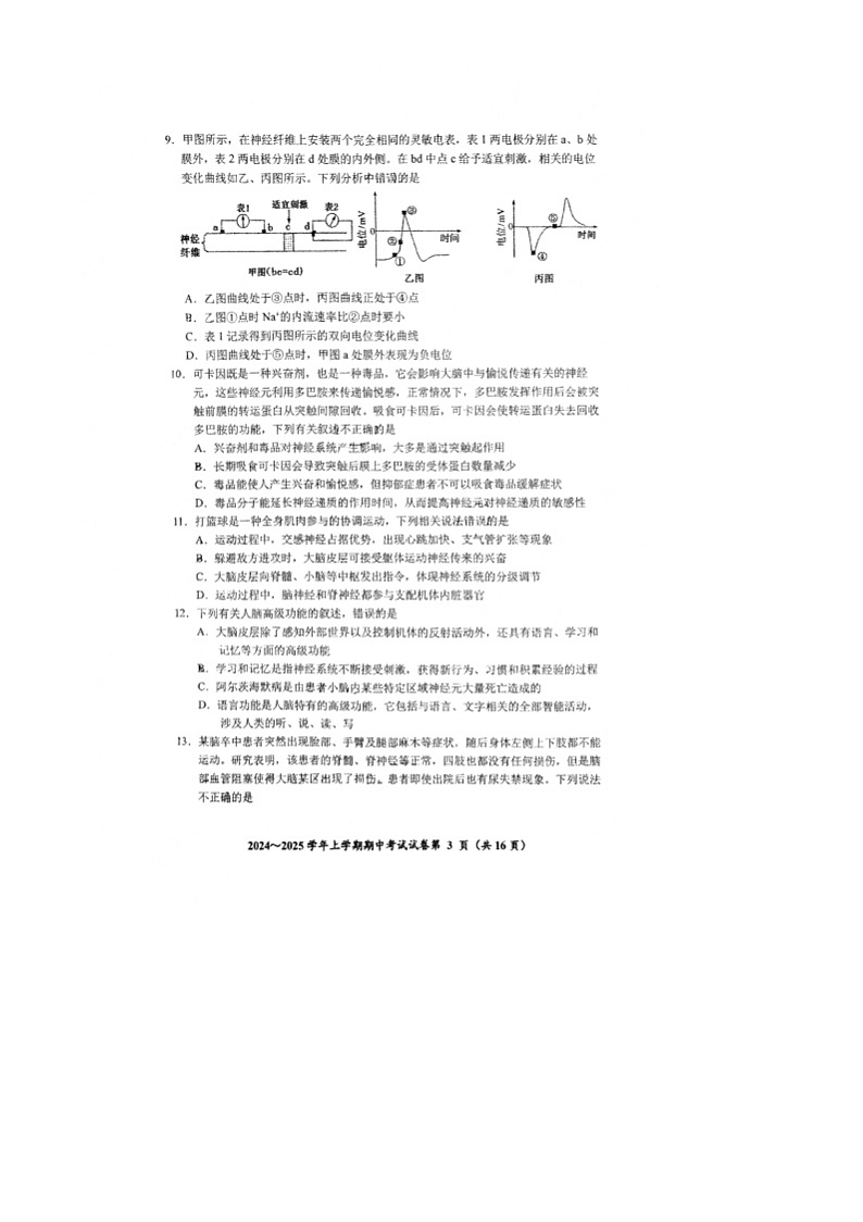 吉林省长春市东北师范大学附属中学2024-2025学年高二上学期10月期中考试生物试题第3页