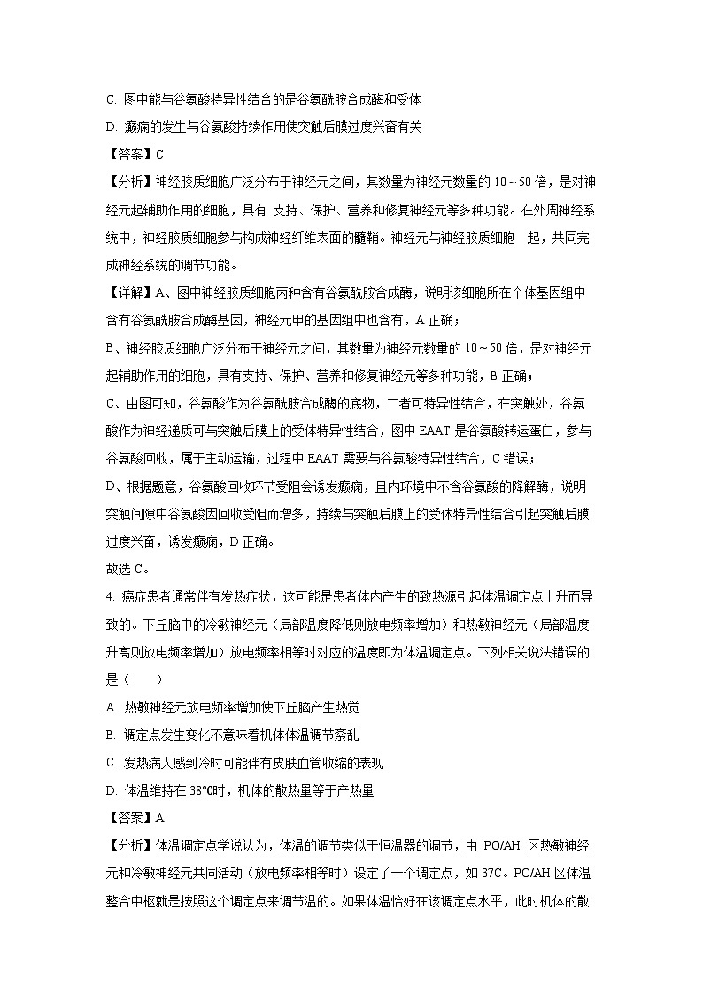 河南省平顶山市2023-2024学年高二下学期期末考试生物试卷(解析版)第3页