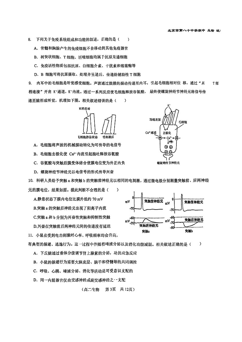 2024北京八十中高二上学期期中生物试卷第3页