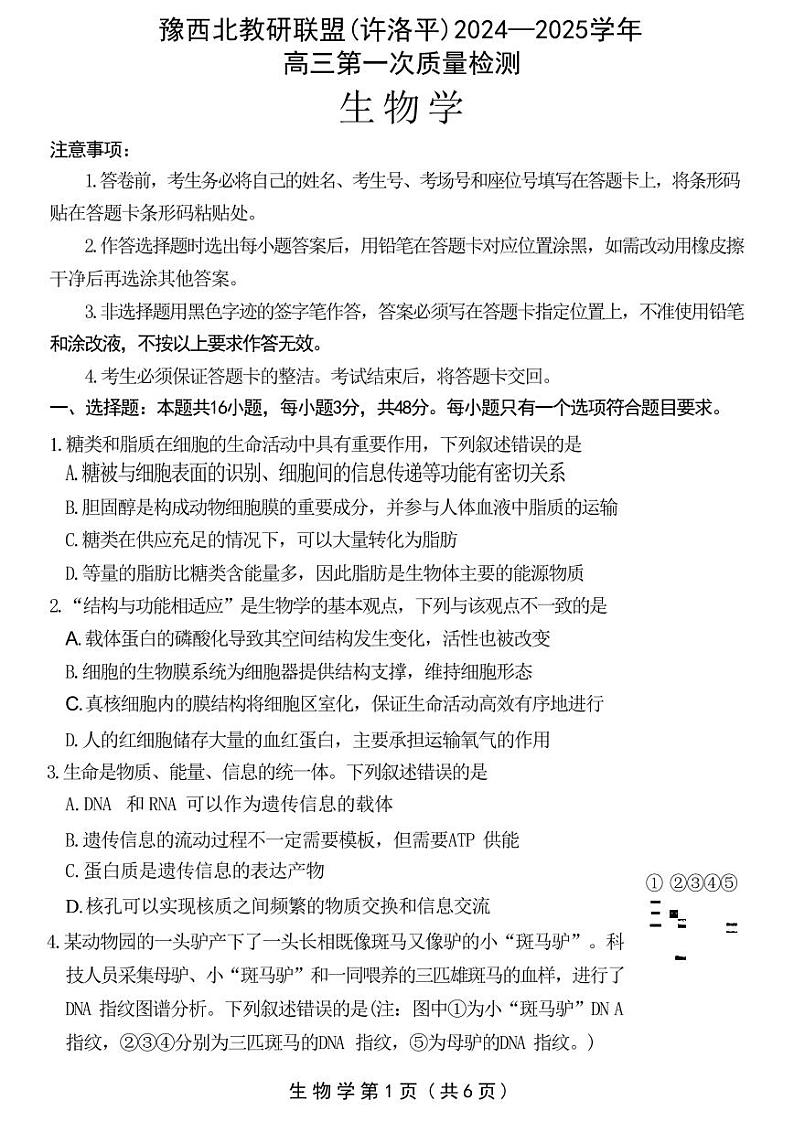 生物丨河南省豫西北教研联盟（许洛平）2025届高三上学期10月第一次质量检测生物试卷及答案第1页