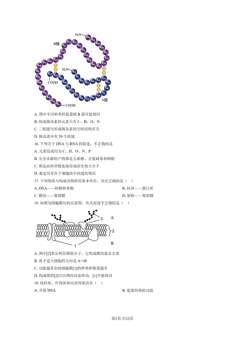 2024北京五十五中高一上学期期中生物试卷及答案第3页