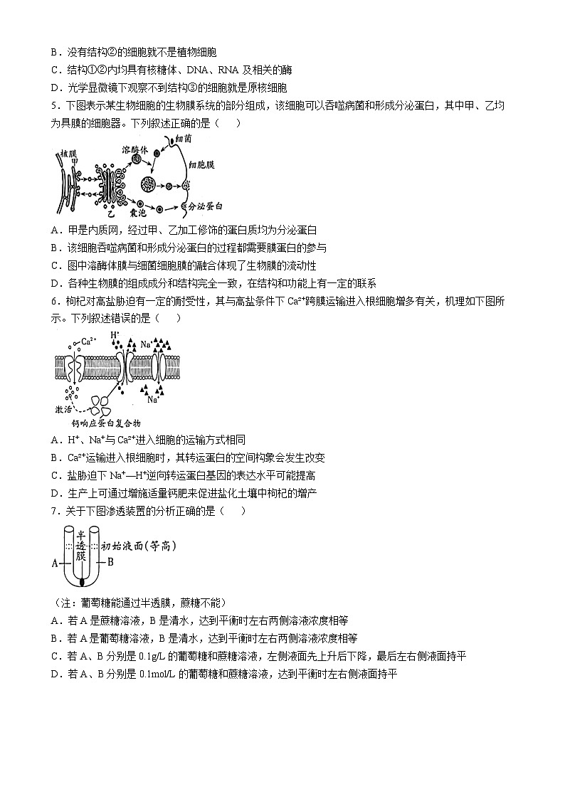山西省吕梁市2024-2025学年高三上学期11月期中生物试题(无答案)第2页