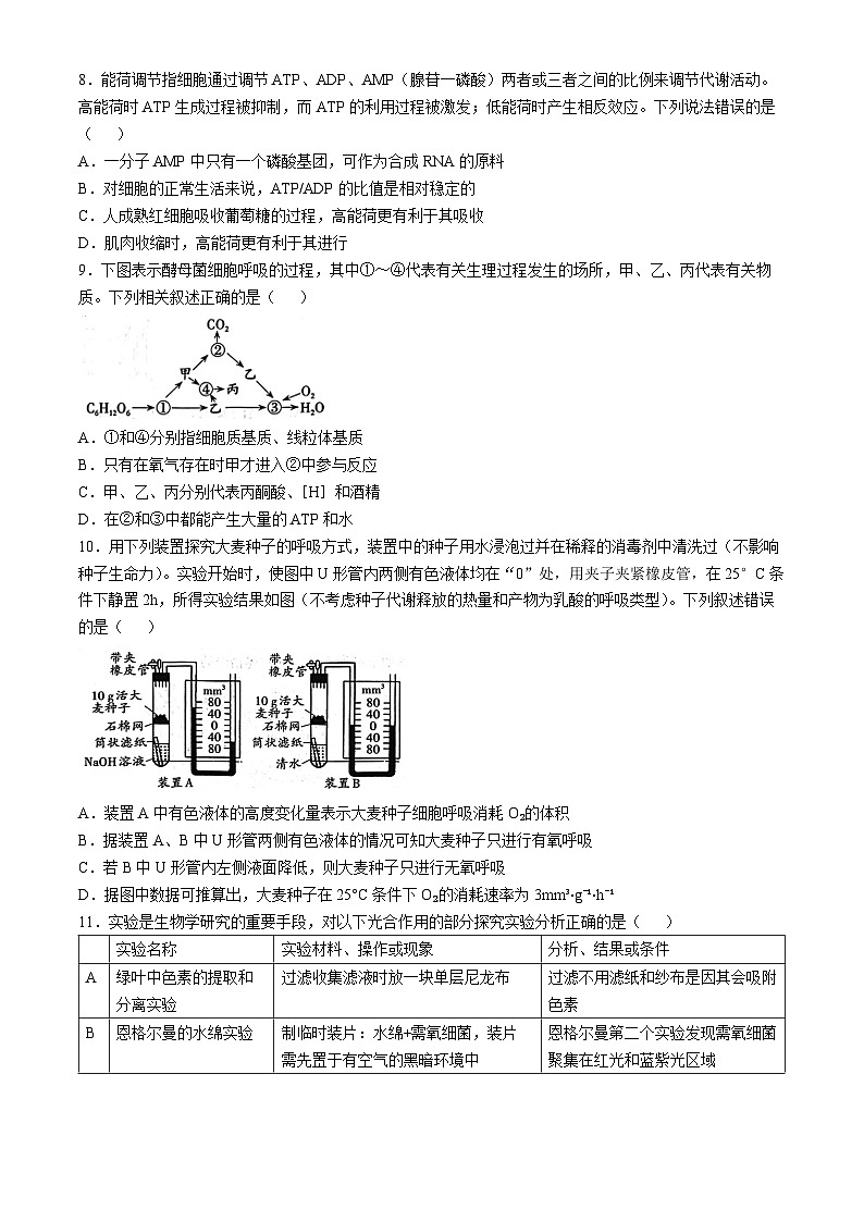 山西省吕梁市2024-2025学年高三上学期11月期中生物试题(无答案)第3页