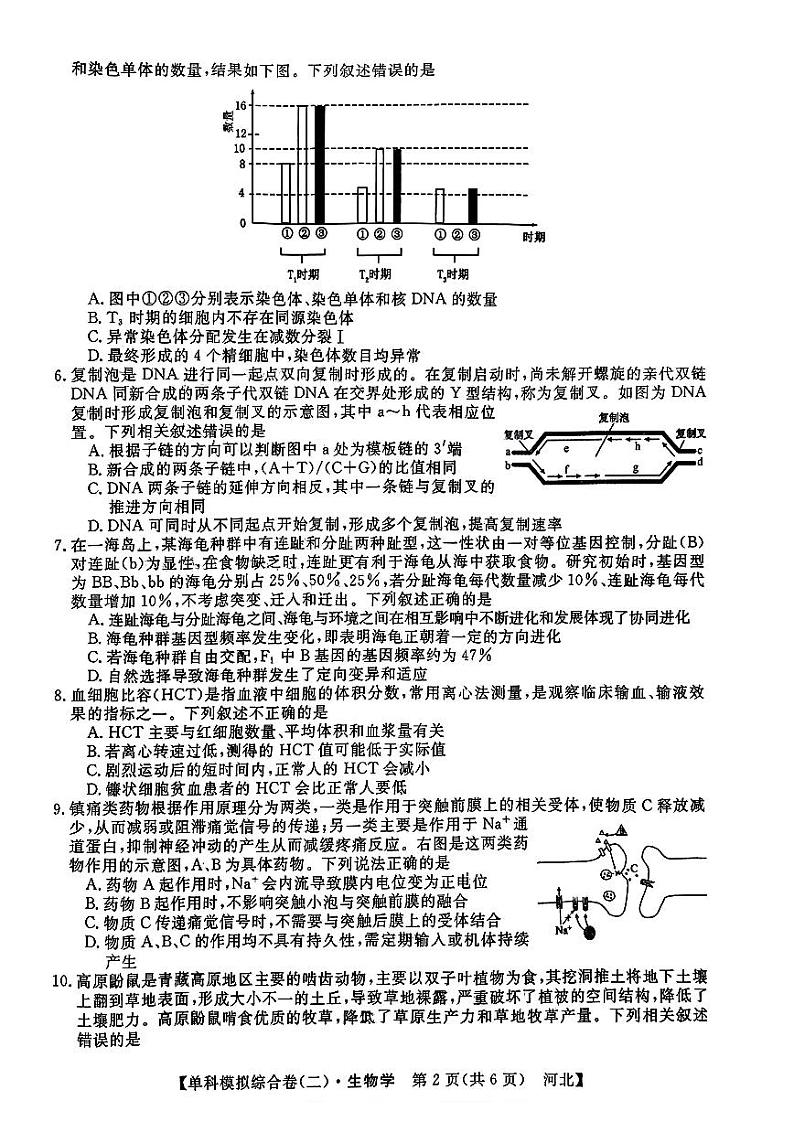 2025届河北省邯郸新高考单科模拟综合卷（二）-生物试题+答案第2页
