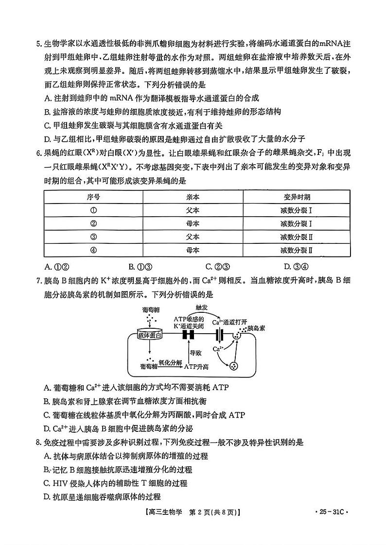 2025届广东省金太阳高三上学期9月考生物附答案02