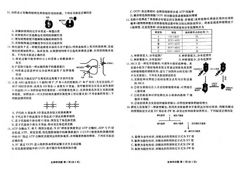 生物丨衡水金卷广东省2025届高三上学期10月联考生物试卷及答案第2页