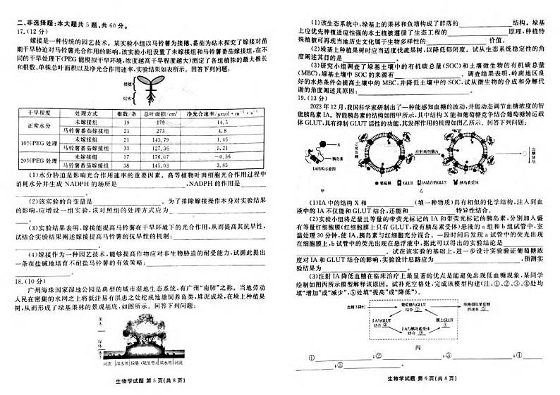 生物丨衡水金卷广东省2025届高三上学期10月联考生物试卷及答案第3页