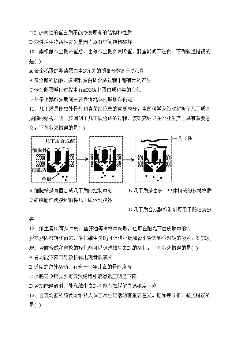 考点1 细胞的分子组成——五年（2020—2024年）高考生物学真题专项分类汇编(含答案)第3页