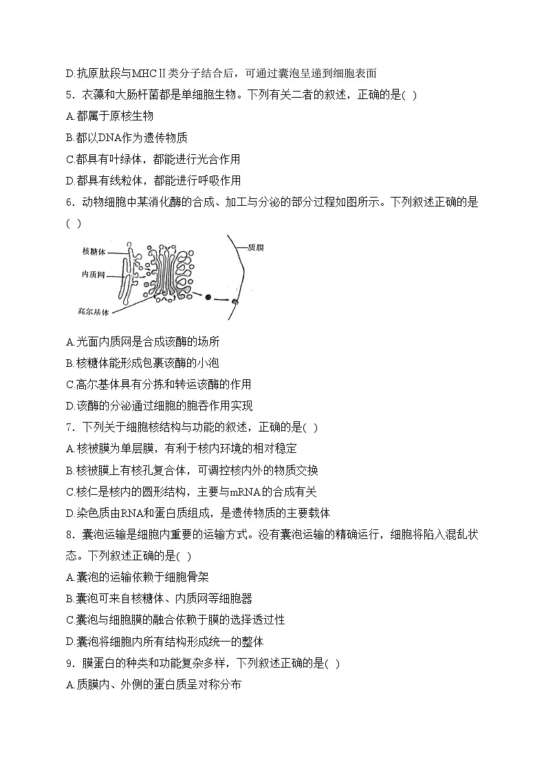 考点2 细胞的结构和功能——五年（2020—2024年）高考生物学真题专项分类汇编(含答案)第2页