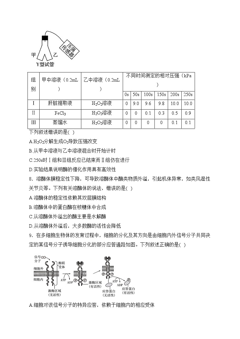 考点4 酶和ATP——五年（2020—2024年）高考生物学真题专项分类汇编(含答案)第3页