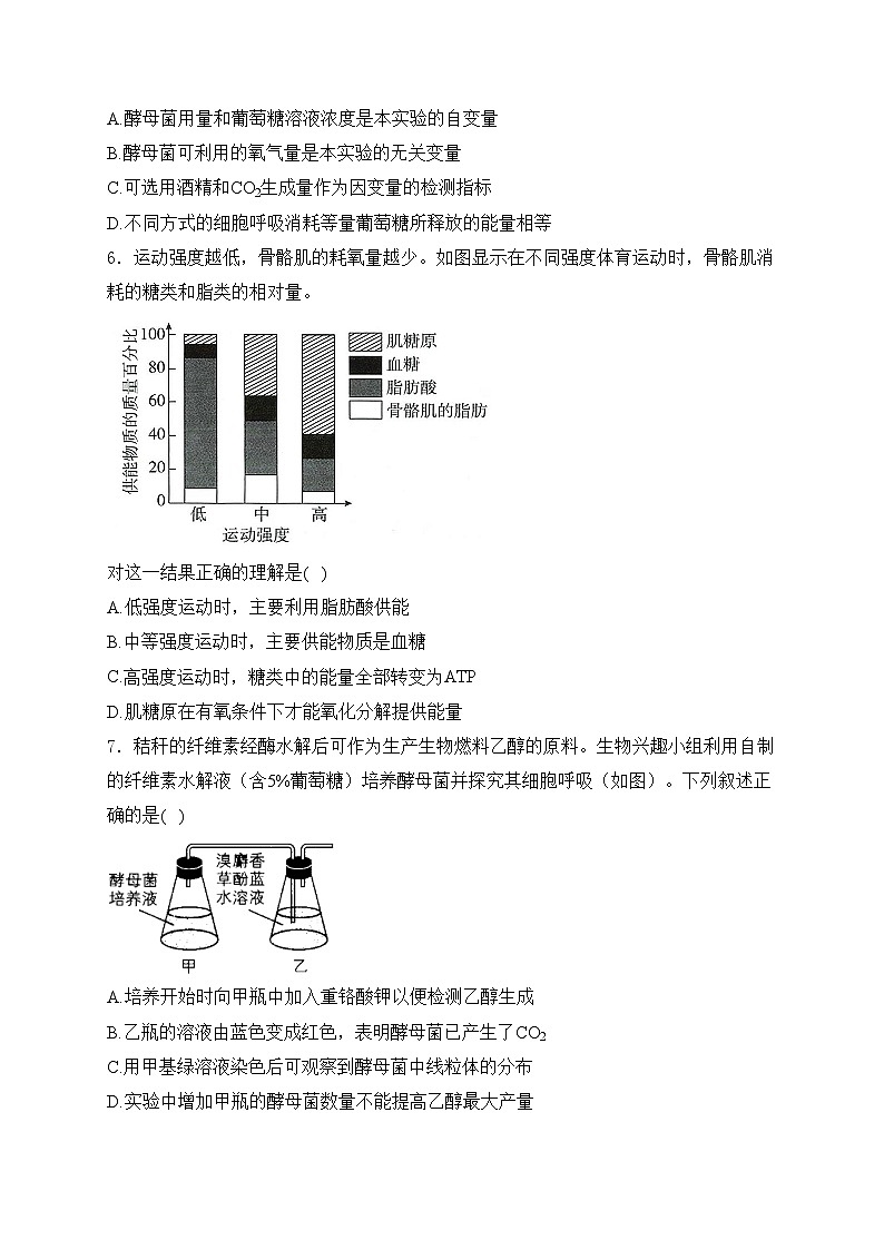 考点5 细胞呼吸——五年（2020—2024年）高考生物学真题专项分类汇编(含答案)第2页