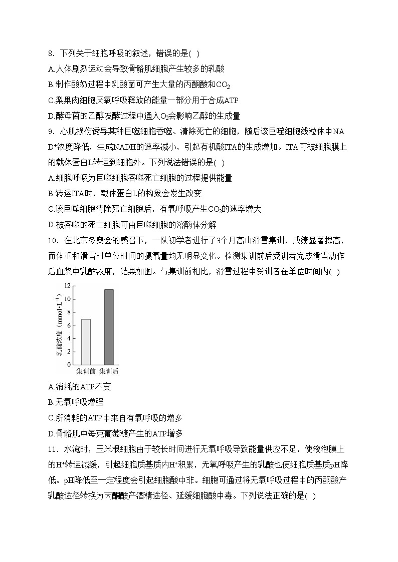 考点5 细胞呼吸——五年（2020—2024年）高考生物学真题专项分类汇编(含答案)第3页
