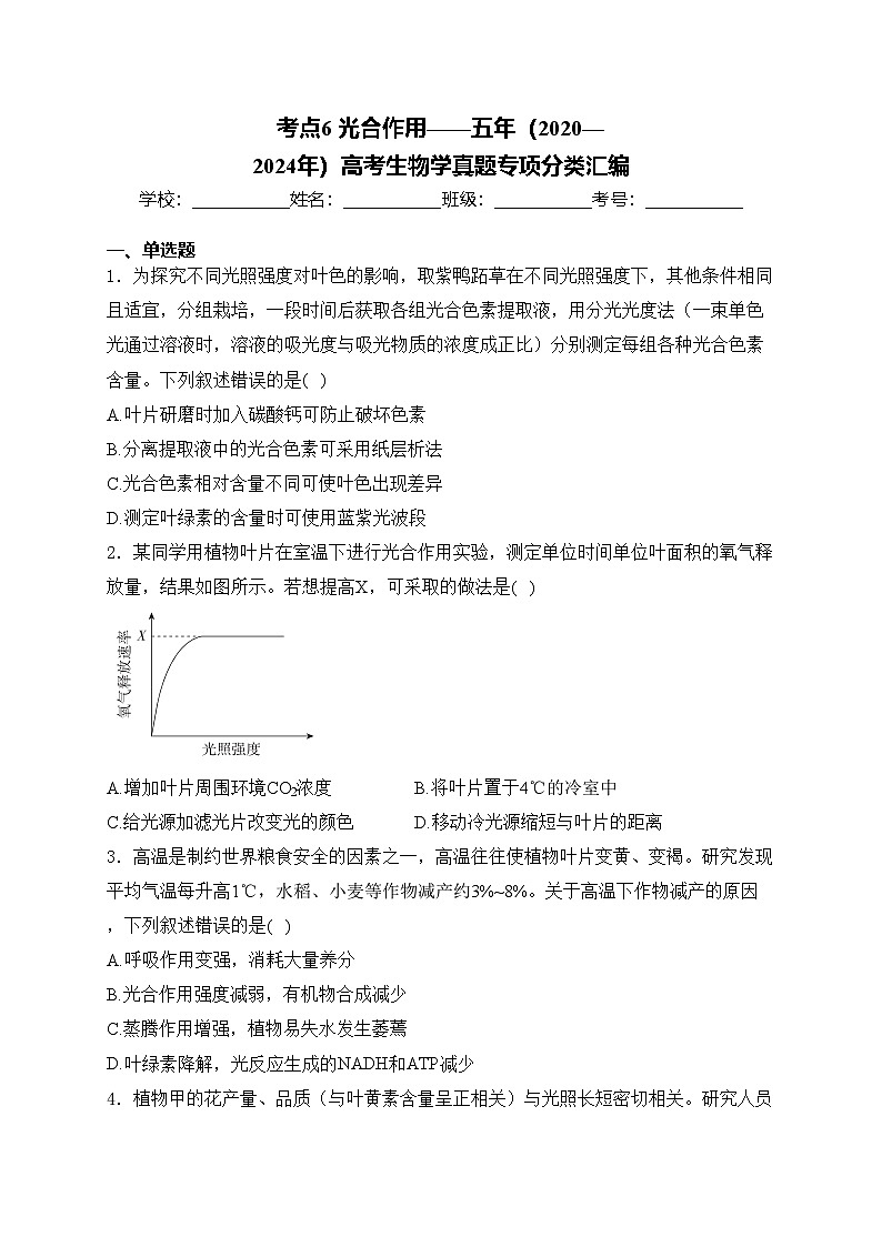 考点6 光合作用——五年（2020—2024年）高考生物学真题专项分类汇编(含答案)01