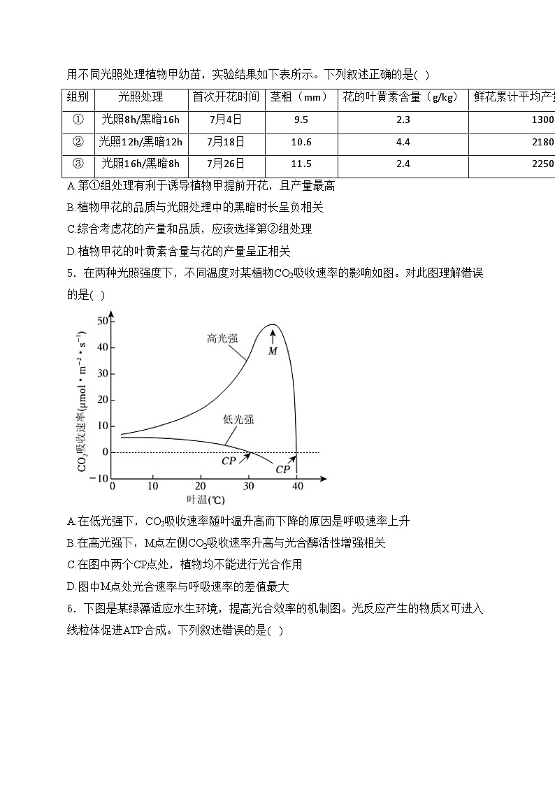 考点6 光合作用——五年（2020—2024年）高考生物学真题专项分类汇编(含答案)02