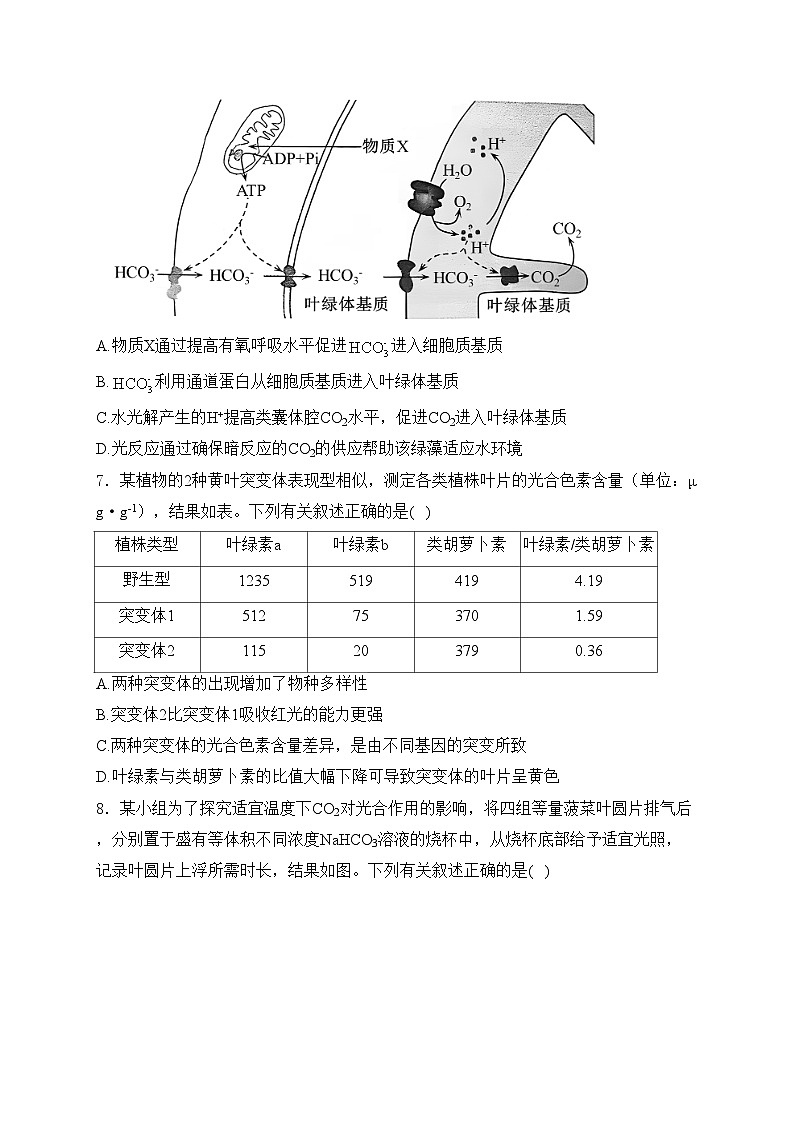 考点6 光合作用——五年（2020—2024年）高考生物学真题专项分类汇编(含答案)03