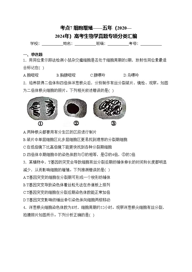 考点7 细胞增殖——五年（2020—2024年）高考生物学真题专项分类汇编(含答案)第1页