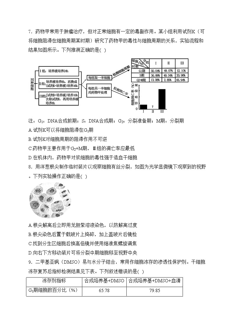 考点7 细胞增殖——五年（2020—2024年）高考生物学真题专项分类汇编(含答案)第3页