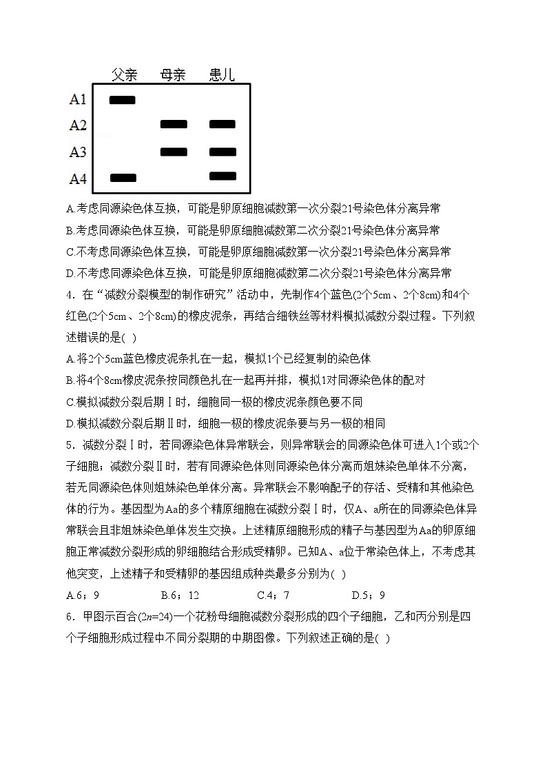 考点9 遗传的细胞基础——五年（2020—2024年）高考生物学真题专项分类汇编(含答案)第2页