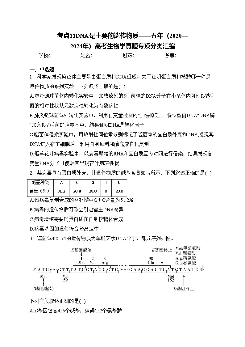 考点11DNA是主要的遗传物质——五年（2020—2024年）高考生物学真题专项分类汇编(含答案)01