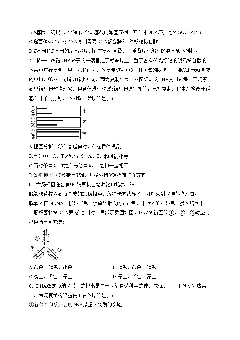考点11DNA是主要的遗传物质——五年（2020—2024年）高考生物学真题专项分类汇编(含答案)02