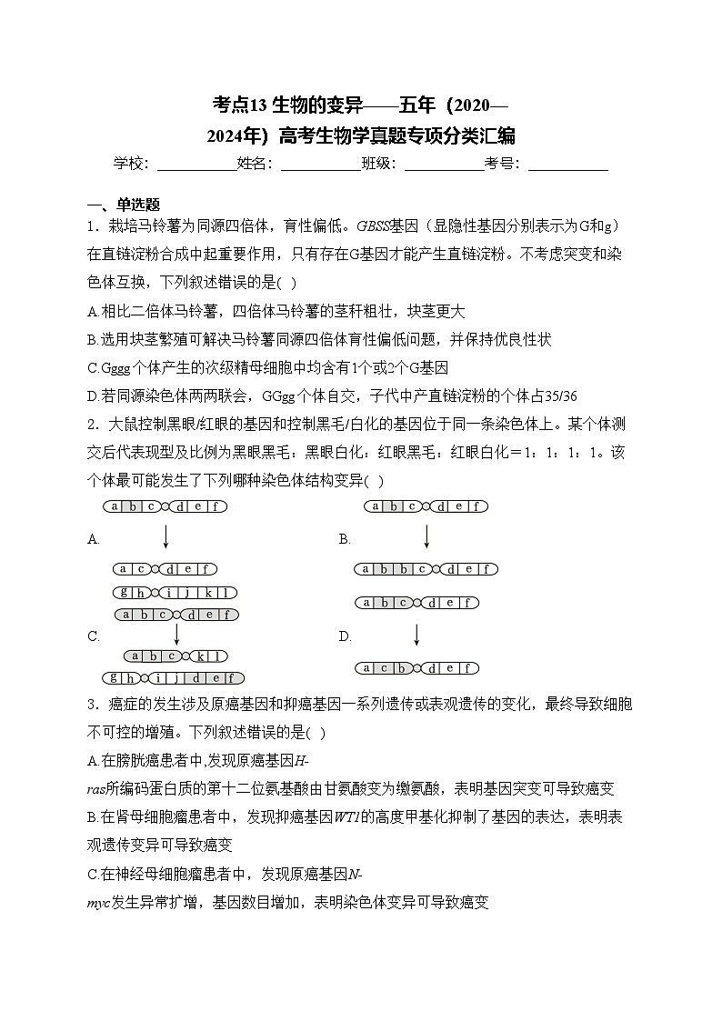 考点13 生物的变异——五年（2020—2024年）高考生物学真题专项分类汇编(含答案)第1页