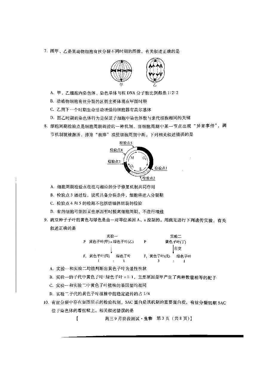 2025届河北省琢名小渔高三上学期9月考-生物试题+答案第3页